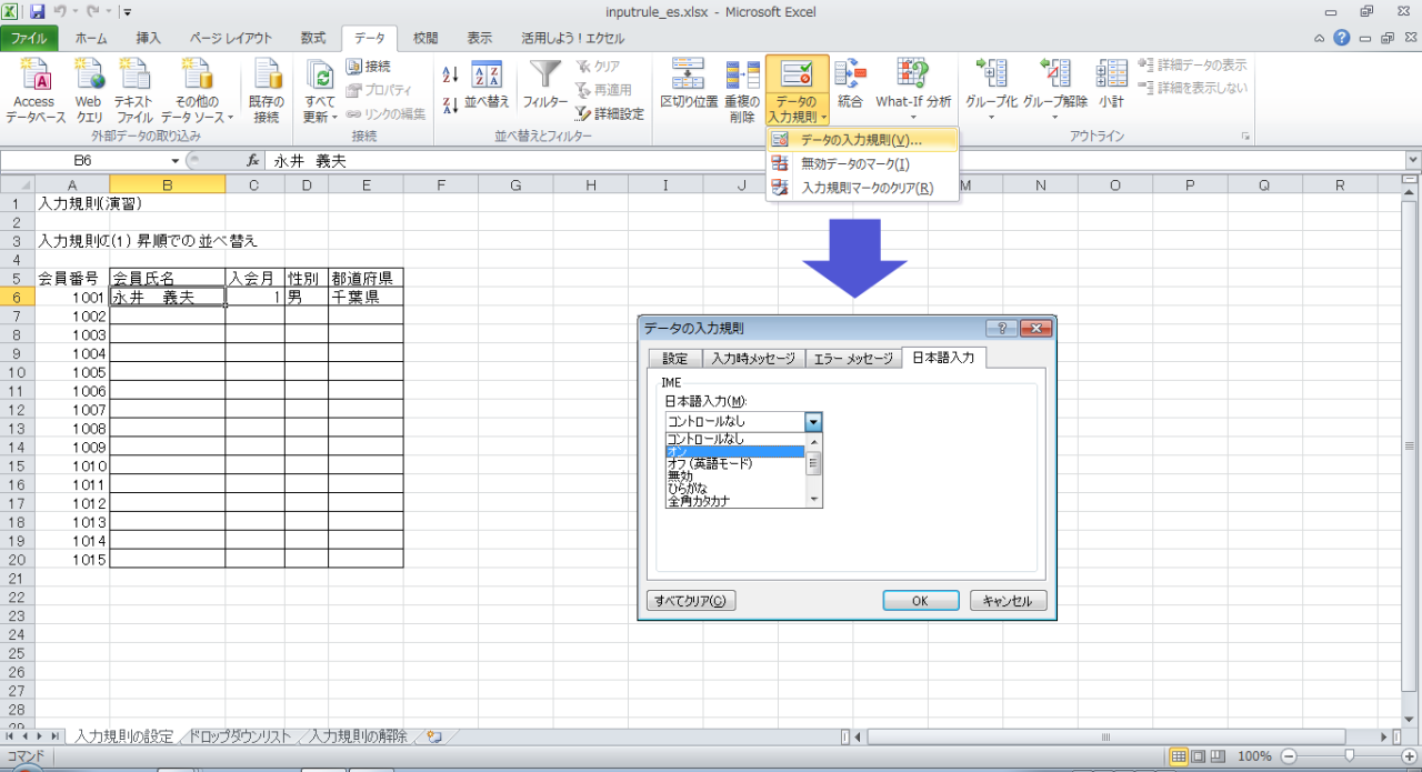 Excel 2010 入力規則