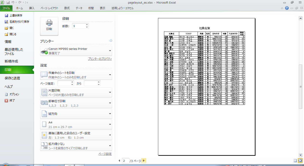 Excel 10 ページ レイアウトの設定