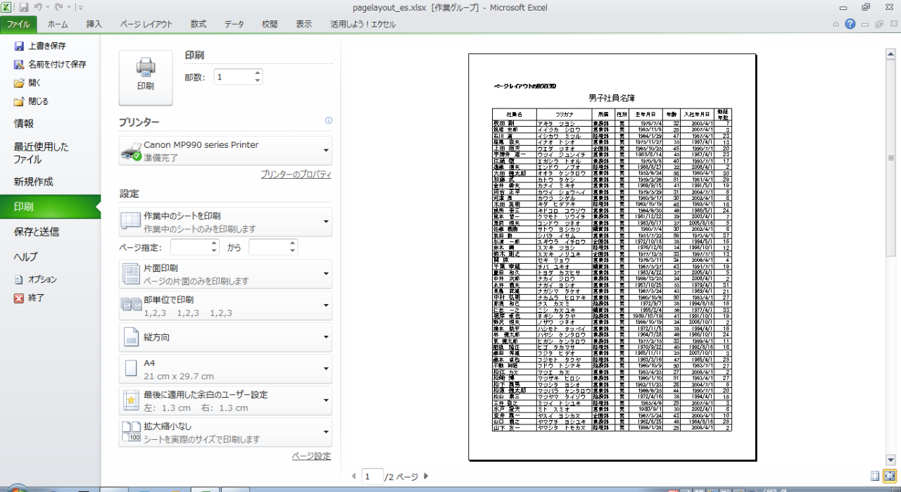 Excel 10 ページ レイアウトの設定